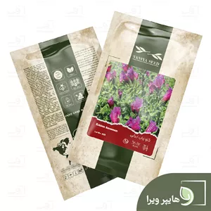 بذر گاوزبان ایرانی وانیا سید
