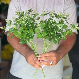 بوته اکالیپتوس مصنوعی سبز