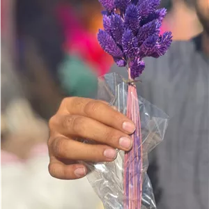 گل خشک توت فرنگی بنفش