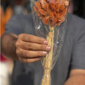 گل خشک توت فرنگی نارنجی