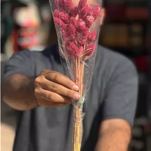 گل خشک توت فرنگی صورتی