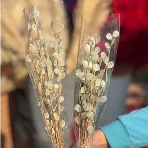 گل خشک سکه ای (لوناریا) کیفیت ممتاز