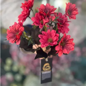 بوته کوکب مصنوعی وارداتی رنگ قرمز