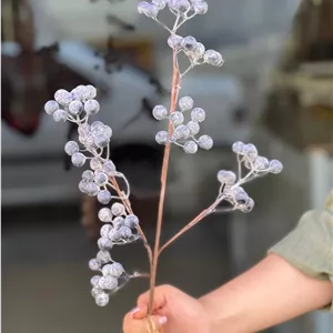 شاخه میوه بلوبری وارداتی