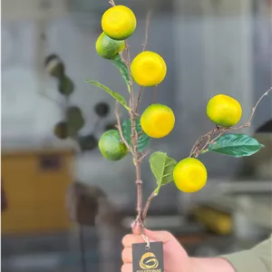 شاخه نارنگی سبز مصنوعی وارداتی۷میوه