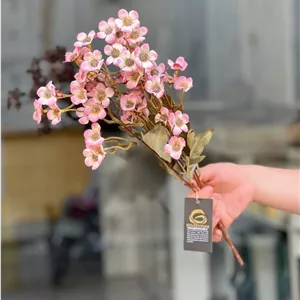 بوته زنبوری گلدار وارداتی کد2