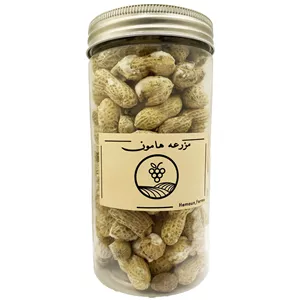 بادام زمینی با پوست نمکی ممتاز مزرعه هامون - 160 گرم