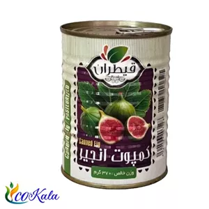 کمپوت انجیر قیطران 370 گرم