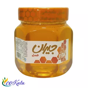 عسل مخصوص جیران 500 گرمی