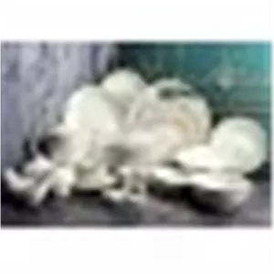 سرویس چینی تقدیس 18 نفره طرح درنیکا