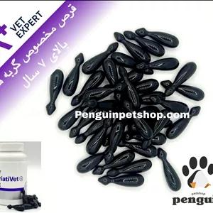 قرص مکمل گربه های بالای 7 سال وت اکسپرت GeriatiVet Cat دانه ای