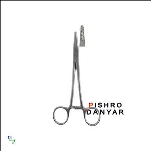 سوزنگیر پیشرو دنت