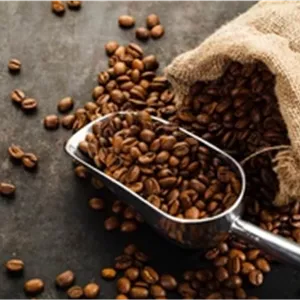 قهوه 100 درصد روبوستا یک کیلوگرم