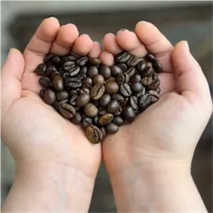 دانه قهوه ویتنام روبوستا 1 کیلوگرم