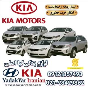 استارت - کادنزا . MANDO