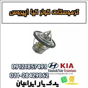 ترموستات کولر کیا اپیروس