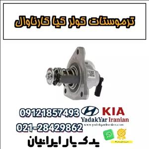 ترموستات کولر کیا کارناوال