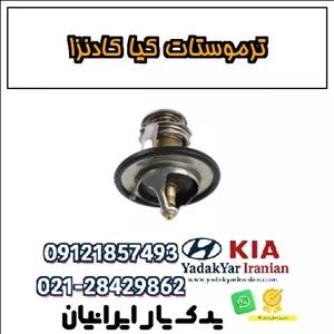 ترموستات کیا کادنزا
