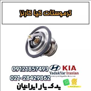 ترموستات کیا کارنز
