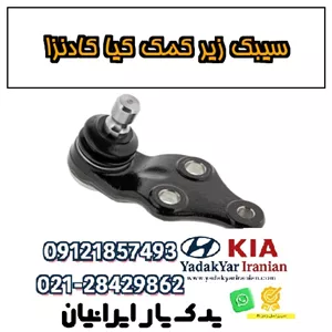 سیبک زیر کمک کیا کادنزا