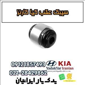 سیبک عقب کیا کارنز