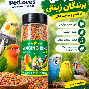 پلت عروس هلندی و طوطی سانان