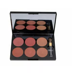 پالت رژگونه گارنیر 6رنگ شماره 401  |  Garnieer Blush Palette – 6 Shades No 401