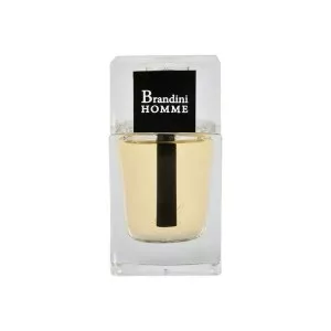 ادکلن هوم اینتنسHOMME INTENSE برندینی33ml