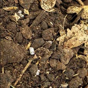 خاک تخصصی باغچه ( گونی 10 کیلویی )