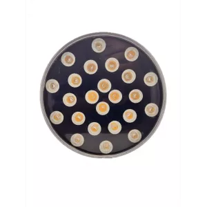 چراغ استخری روکار 24 وات نورآسا