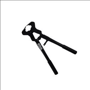 سم چین گاوی