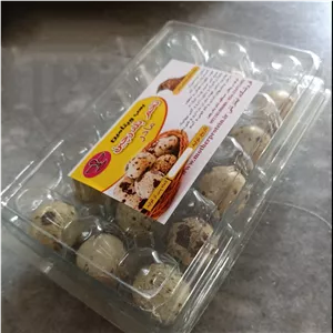 تخم بلدرچین 15 عددی عمده 10 بسته 