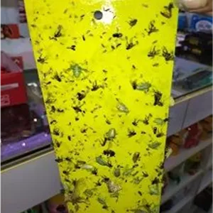 کارت زرد جاذب حشرات (چسب حشره)، سایز 10 در 24.5 سانتی متر (لفافه بزرگ گرید A پر چسب)
