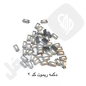 دکمه ریموت خودرو و پارکینگ کد 2