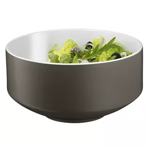 کاسه دبلیو ام اف مدل WMF grey MOTO