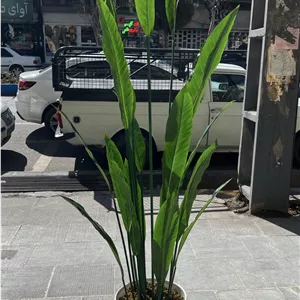 درختچه مصنوعی ابایی/دراسنا وارداتی با گلدان