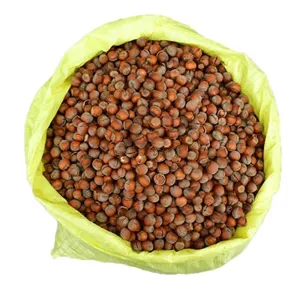 فندق خام بسته 10 کیلویی
