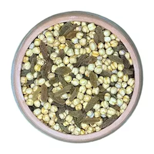 نخود کشمش (آجیل مشکل گشا)