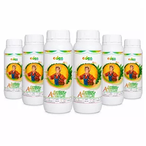 کود مایع آمینو اسید آمینودن ادن عمده همکاری (۶ عدد بطری ۱ لیتری)