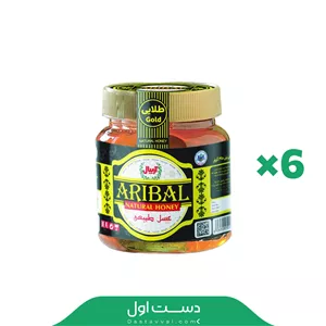 عسل آریبال ویژه (تپلی) - 6 عددی