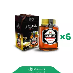 عسل آریبال ممتاز بزرگ صادراتی - 6 عددی