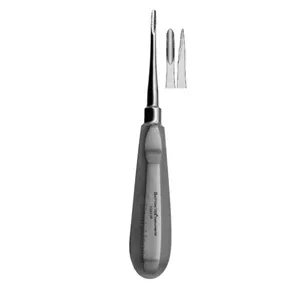 الواتور دنده ای فتاح طب پویا