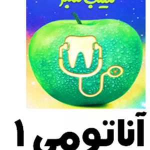 سیب سبز آناتومی 1