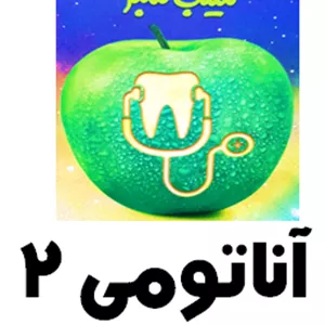 سیب سبز آناتومی 2