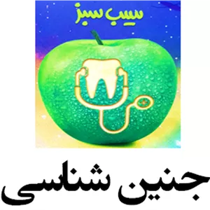 سیب سبز جنین شناسی