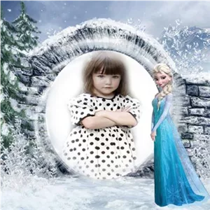 فریم لایه باز السا فروزن