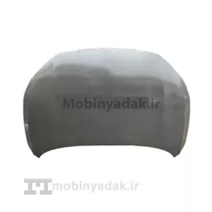 درب موتور دیگنیتی