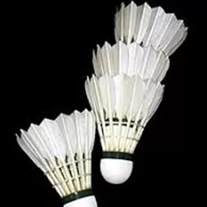 توپ بدمینتون پر دار