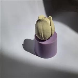 قالب سیلیکونی و بیس خام شمع طرح گل لاله