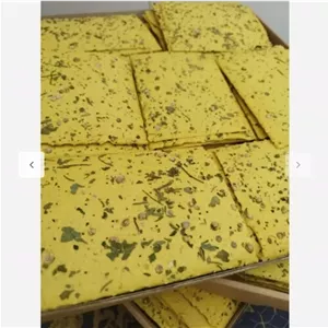 نان چیپسی گشنیز 1 کیلو گرمی